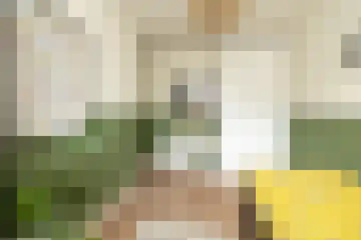 De Dintel 15 Naaldwijk thumbnail 34
