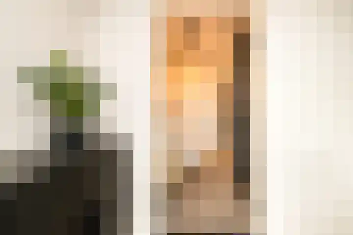De Dintel 15 Naaldwijk thumbnail 37