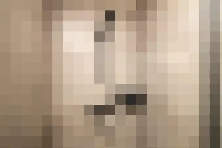 De Dintel 15 Naaldwijk thumbnail 39