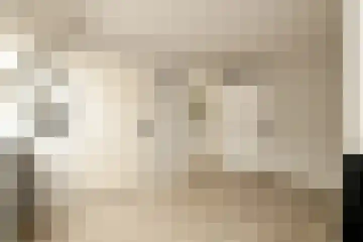 De Dintel 15 Naaldwijk thumbnail 41