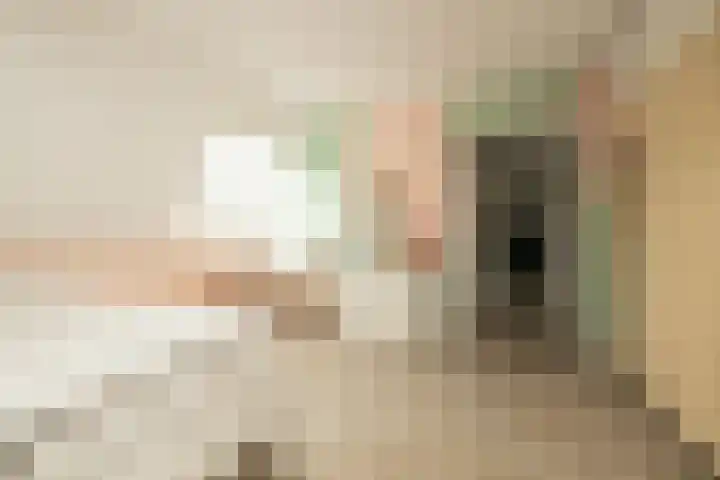 De Dintel 15 Naaldwijk thumbnail 43