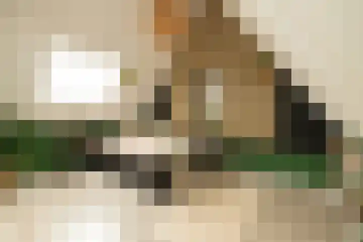 De Dintel 15 Naaldwijk thumbnail 44