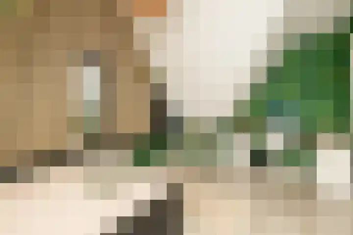 De Dintel 15 Naaldwijk thumbnail 45