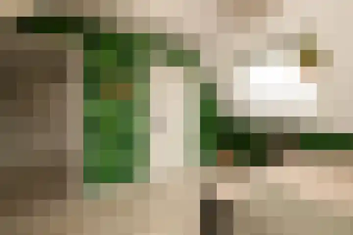 De Dintel 15 Naaldwijk thumbnail 46