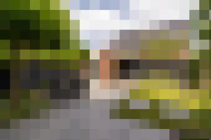 De Dintel 15 Naaldwijk thumbnail 47