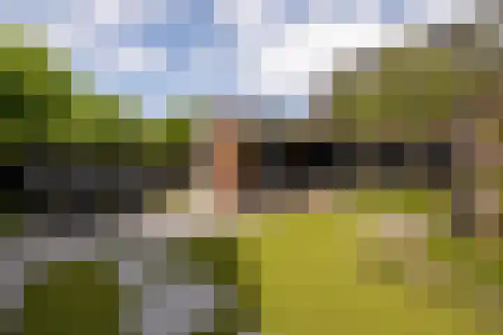 De Dintel 15 Naaldwijk thumbnail 48