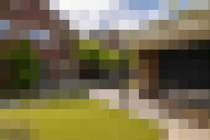De Dintel 15 Naaldwijk thumbnail 49