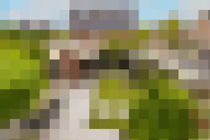 De Dintel 15 Naaldwijk thumbnail 5
