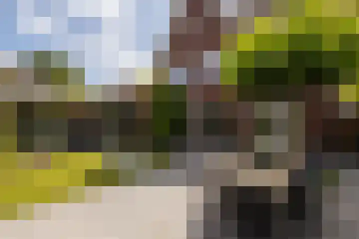 De Dintel 15 Naaldwijk thumbnail 50