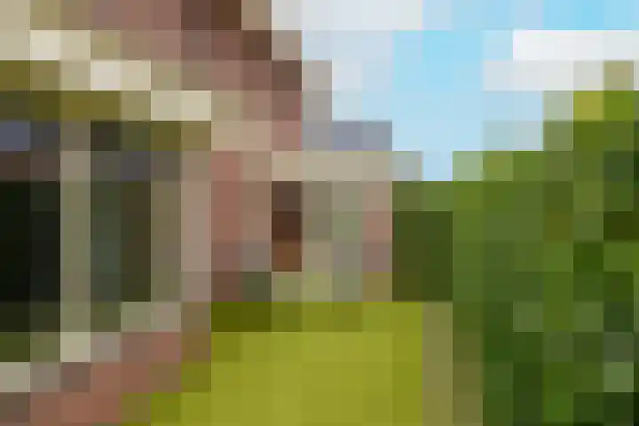 De Dintel 15 Naaldwijk thumbnail 51