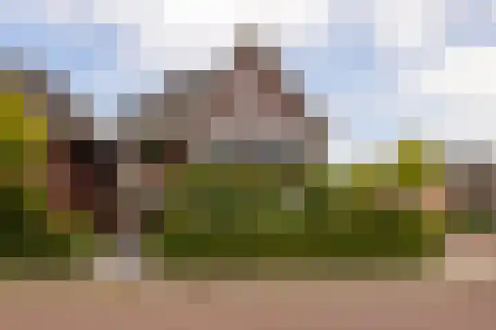 De Dintel 15 Naaldwijk thumbnail 53
