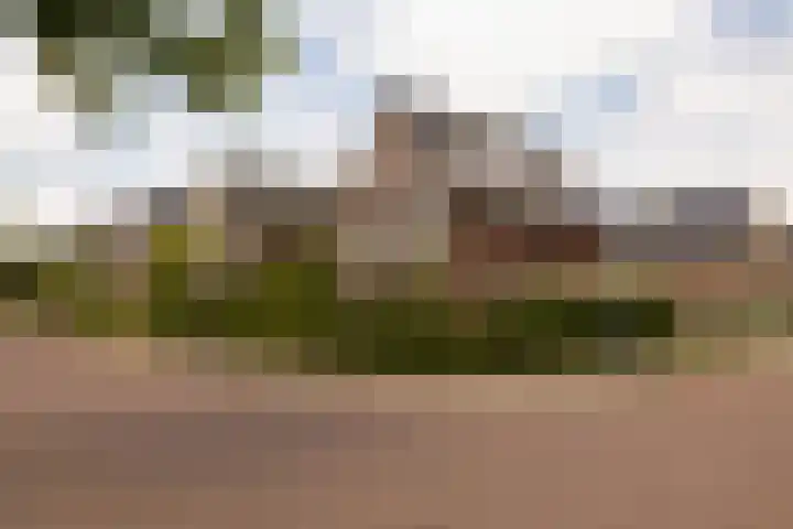 De Dintel 15 Naaldwijk thumbnail 54