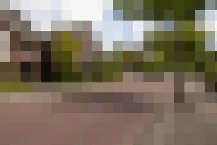 De Dintel 15 Naaldwijk thumbnail 55