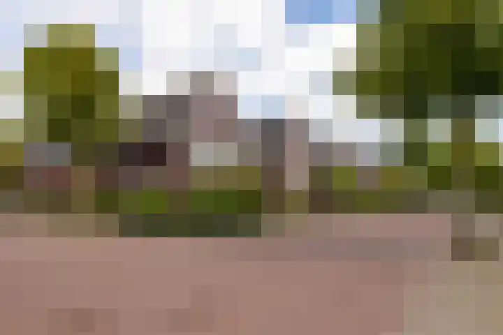 De Dintel 15 Naaldwijk thumbnail 56