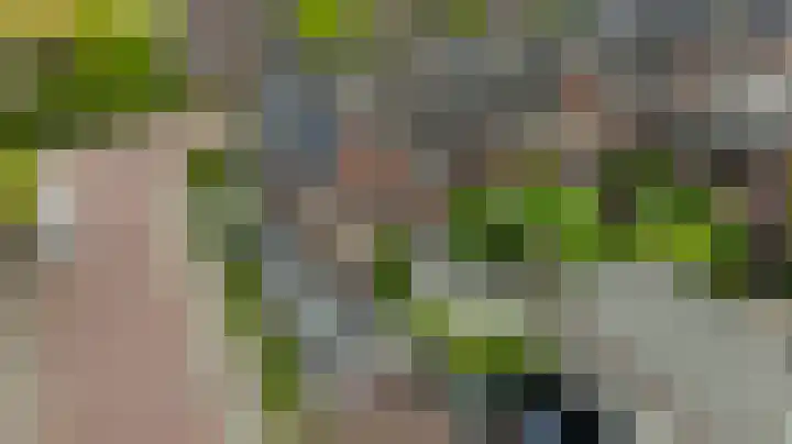 De Dintel 15 Naaldwijk thumbnail 57