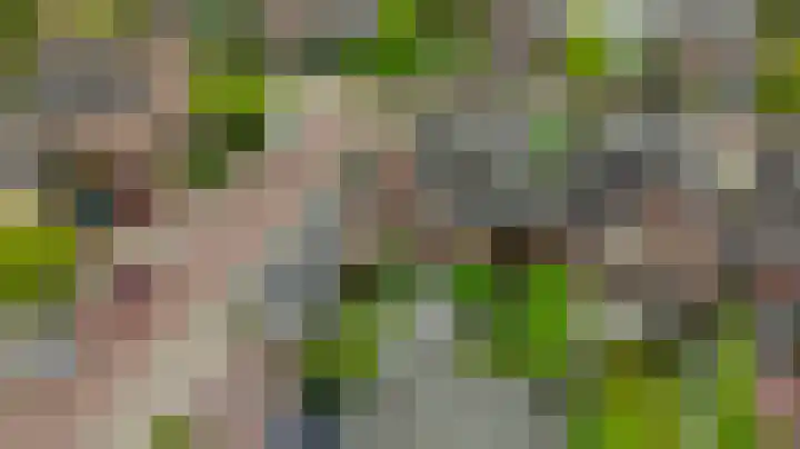 De Dintel 15 Naaldwijk thumbnail 58