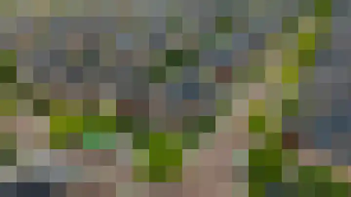 De Dintel 15 Naaldwijk thumbnail 59