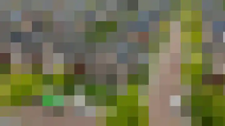 De Dintel 15 Naaldwijk thumbnail 6