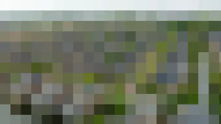 De Dintel 15 Naaldwijk thumbnail 60