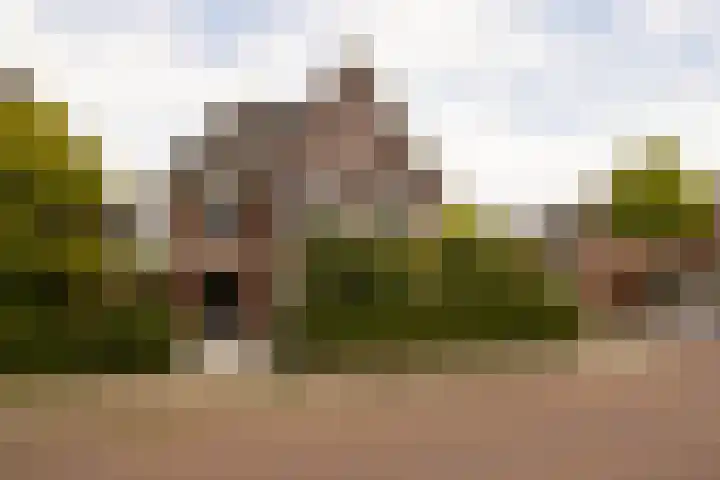 De Dintel 15 Naaldwijk thumbnail 7