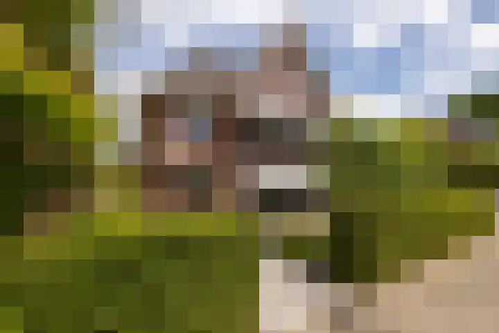 De Dintel 15 Naaldwijk thumbnail 70