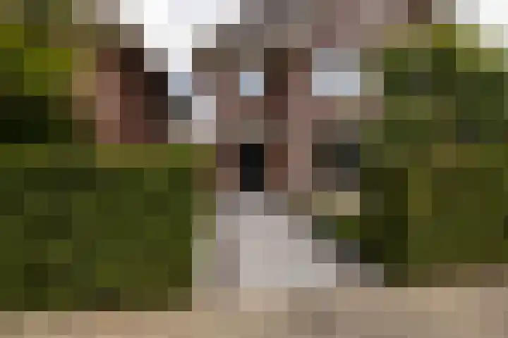 De Dintel 15 Naaldwijk thumbnail 8