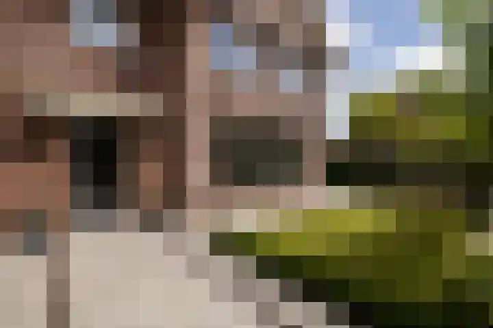 De Dintel 15 Naaldwijk thumbnail 9
