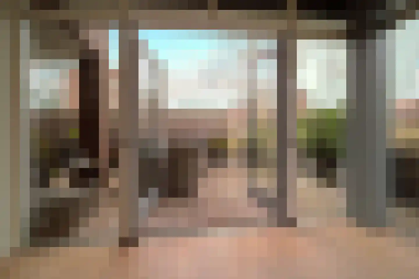 De Dintel 26 Naaldwijk thumbnail 12
