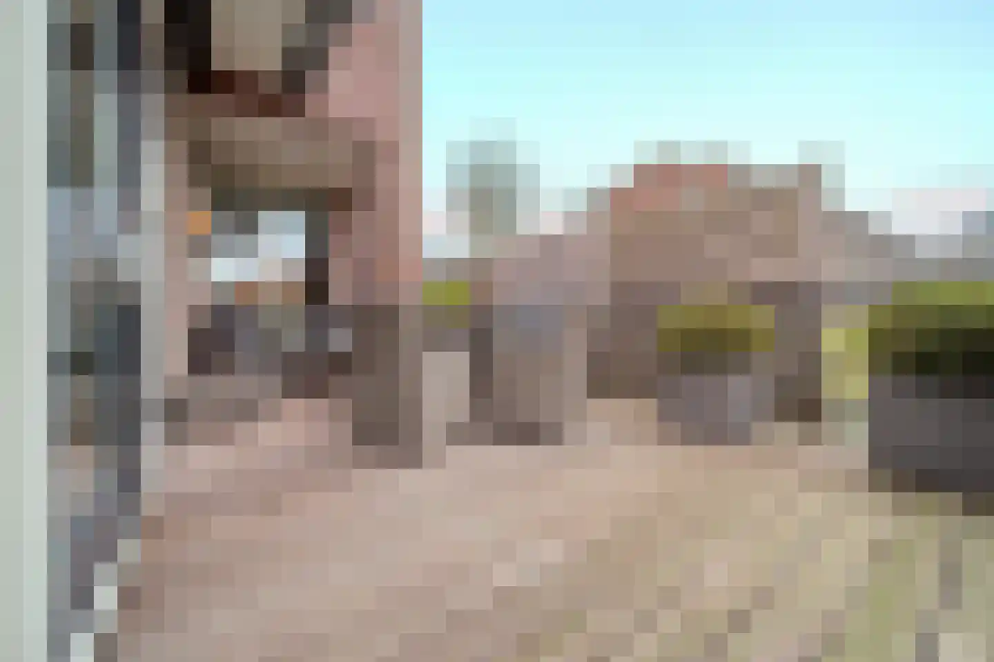 De Dintel 26 Naaldwijk thumbnail 13