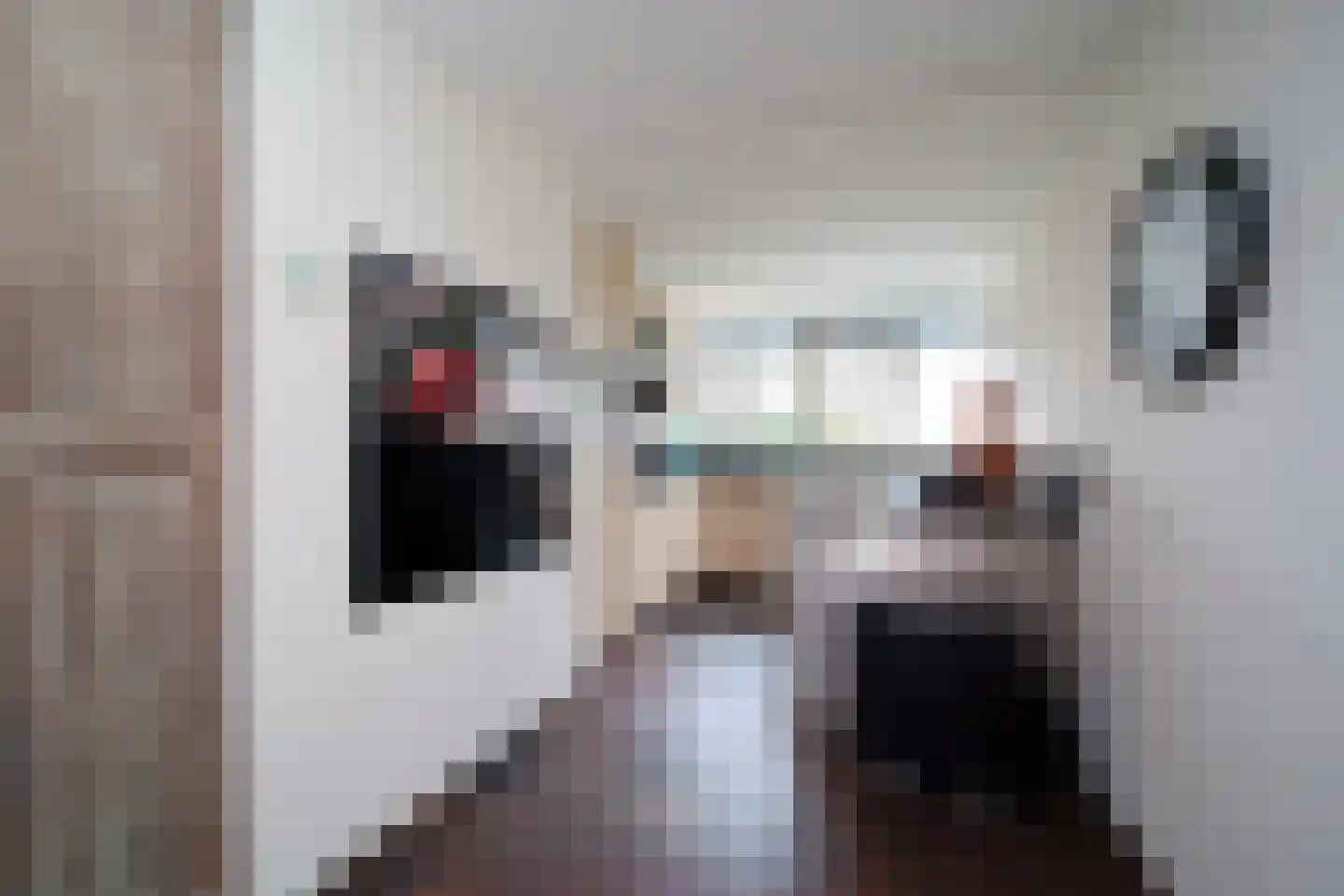 De Dintel 26 Naaldwijk thumbnail 19