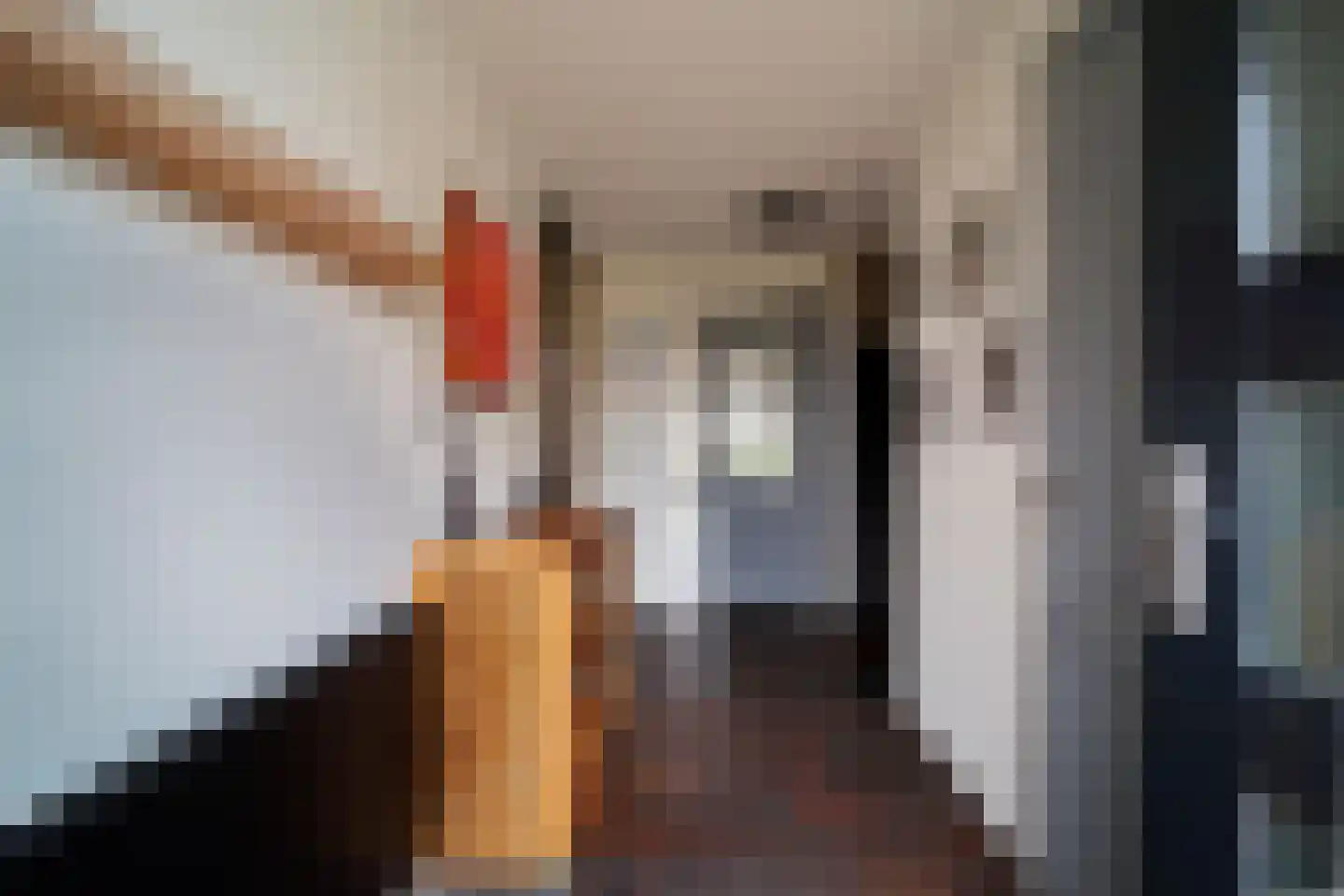 De Dintel 26 Naaldwijk thumbnail 21
