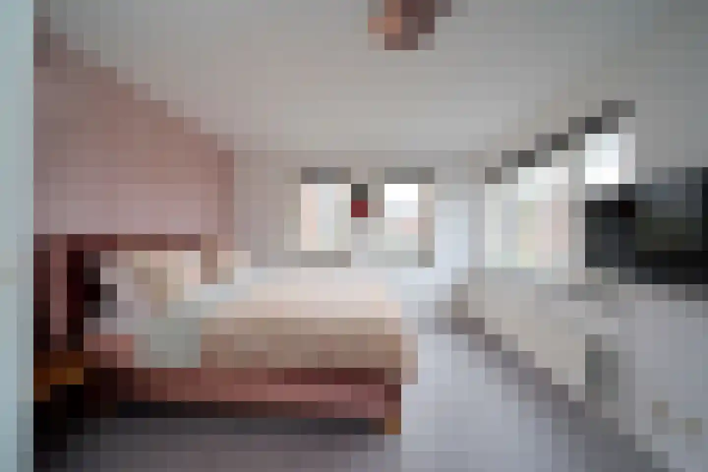 De Dintel 26 Naaldwijk thumbnail 24
