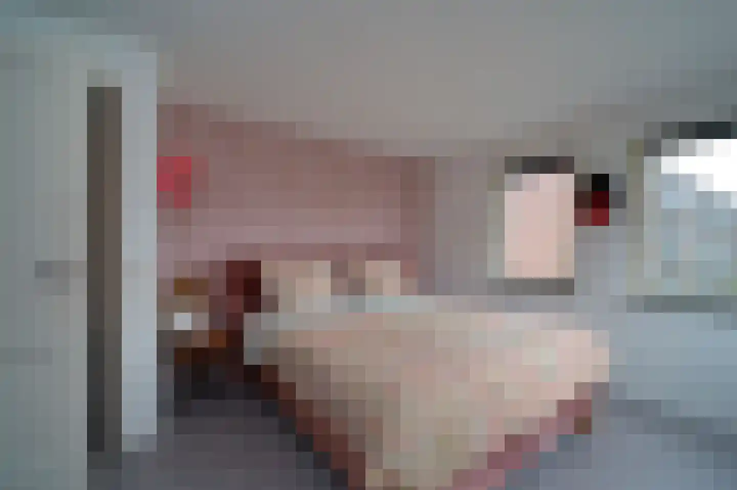 De Dintel 26 Naaldwijk thumbnail 25