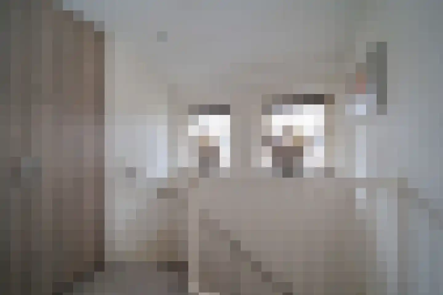 De Dintel 26 Naaldwijk thumbnail 32