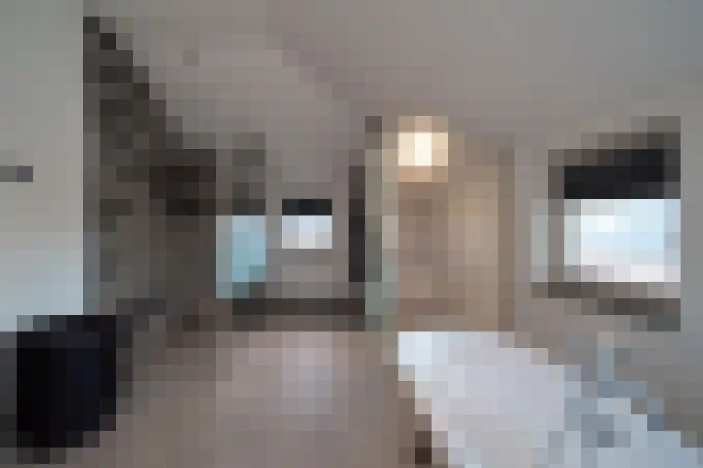 De Dintel 26 Naaldwijk thumbnail 37