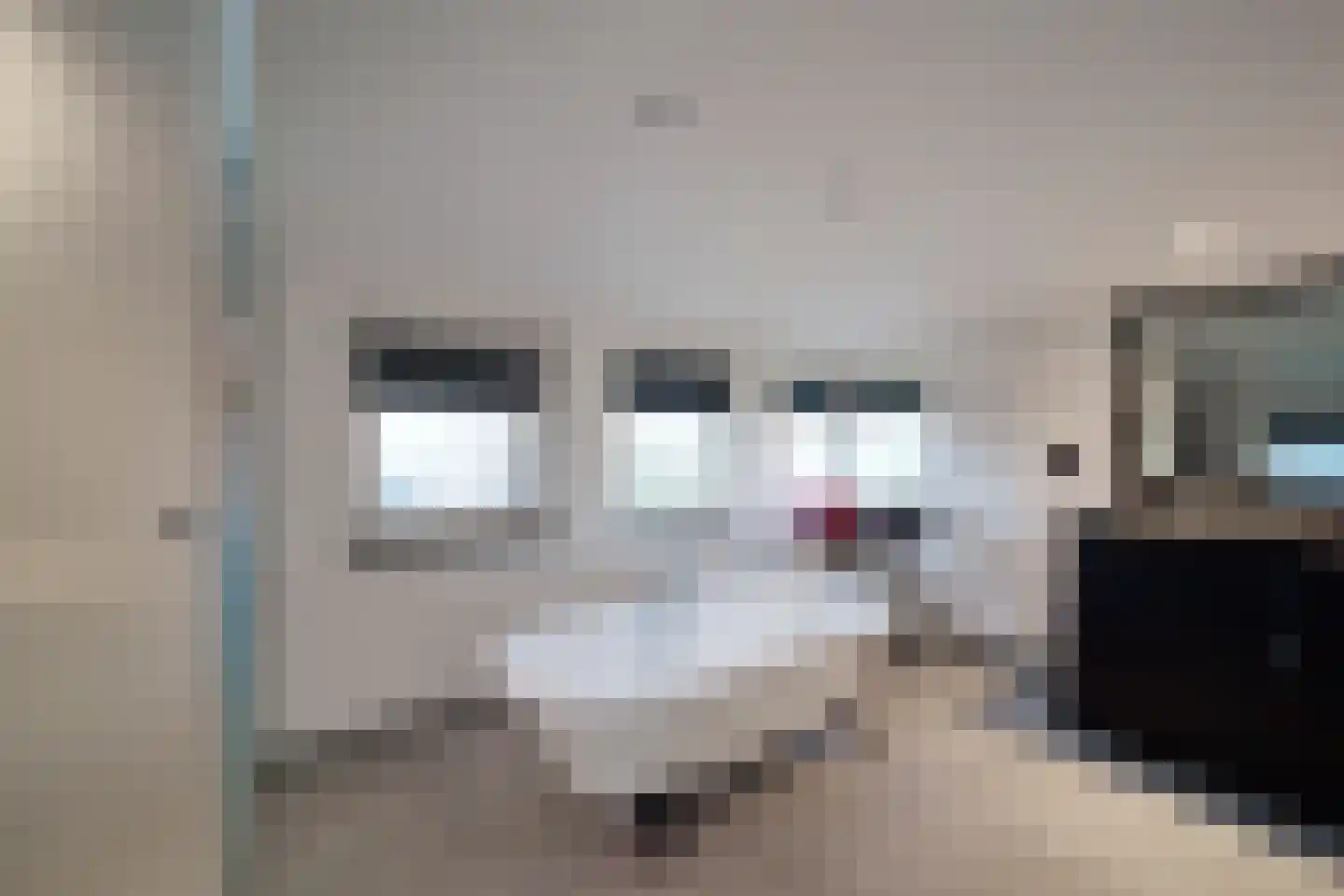 De Dintel 26 Naaldwijk thumbnail 42