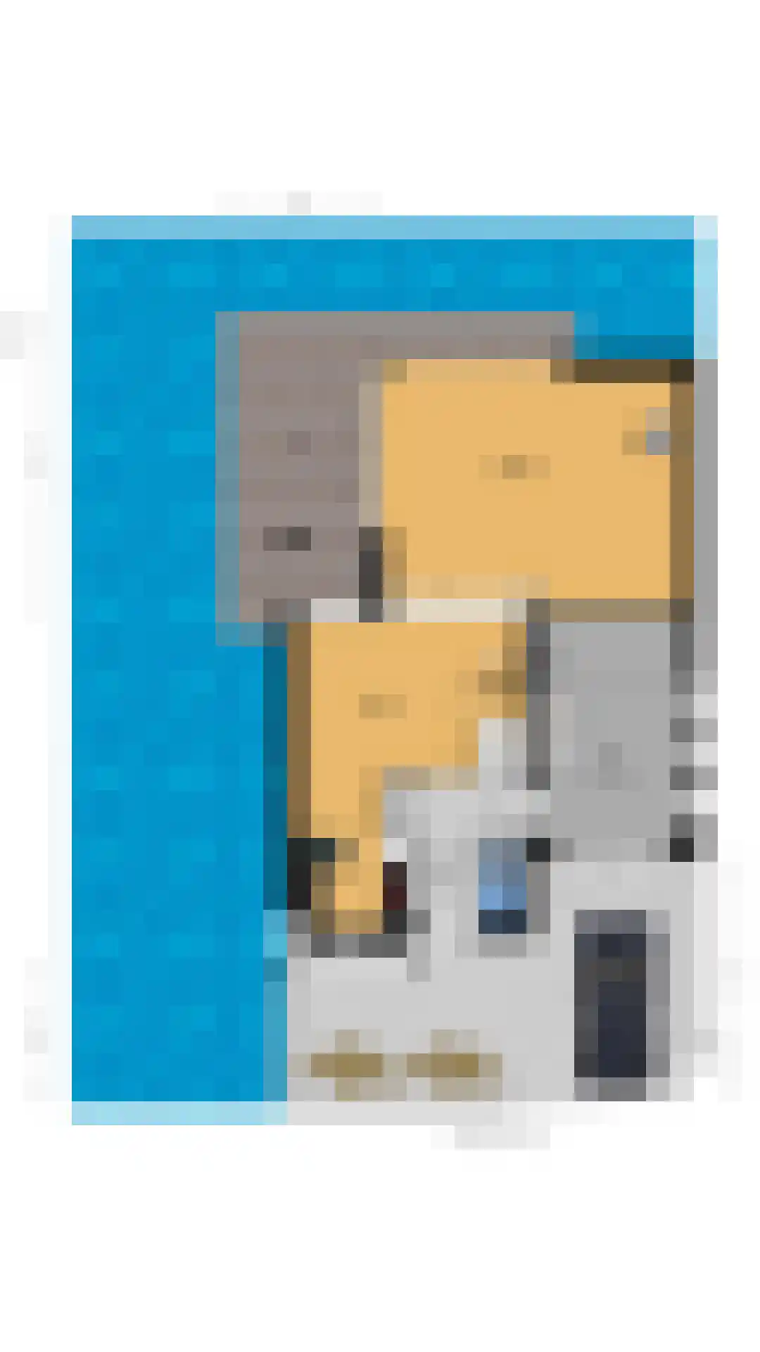 De Dintel 26 Naaldwijk thumbnail 45