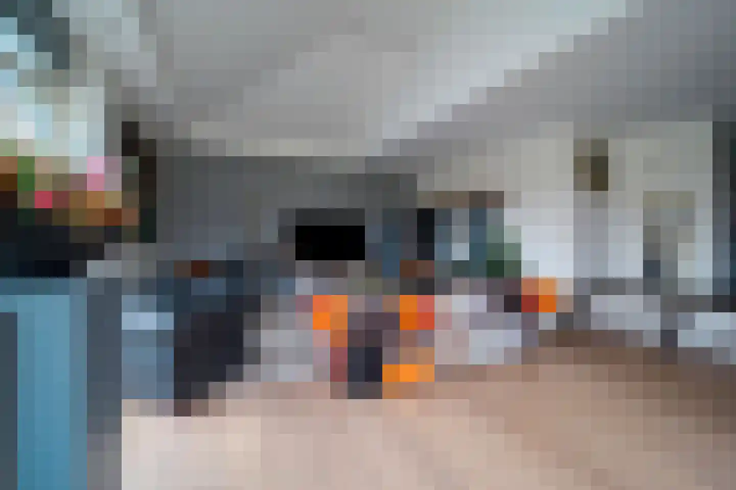 De Dintel 26 Naaldwijk thumbnail 9