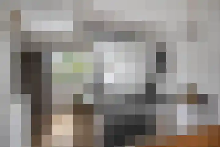 De Dissel 16 Arnhem thumbnail 13