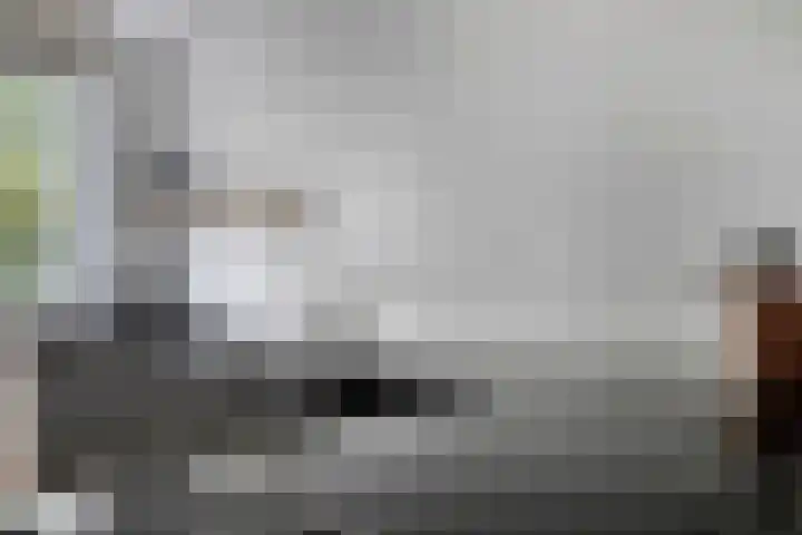 De Dissel 16 Arnhem thumbnail 14