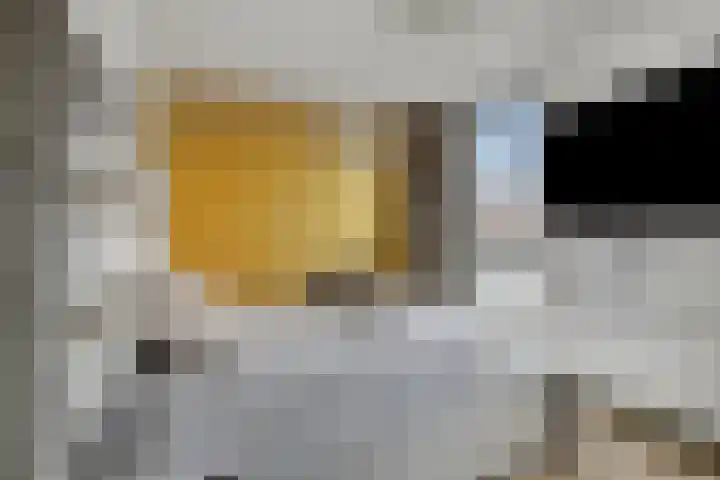 De Dissel 16 Arnhem thumbnail 20