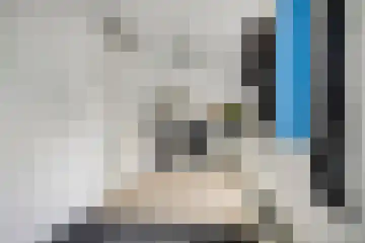 De Dissel 16 Arnhem thumbnail 26