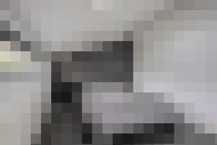 De Dissel 16 Arnhem thumbnail 29