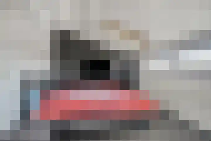 De Dissel 16 Arnhem thumbnail 31