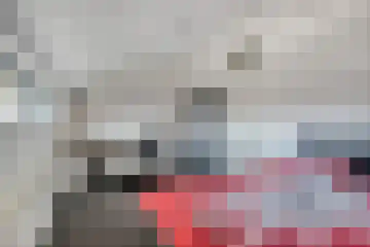 De Dissel 16 Arnhem thumbnail 32