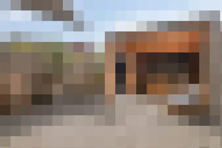 De Dissel 16 Arnhem thumbnail 34