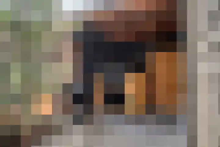 De Dissel 16 Arnhem thumbnail 36