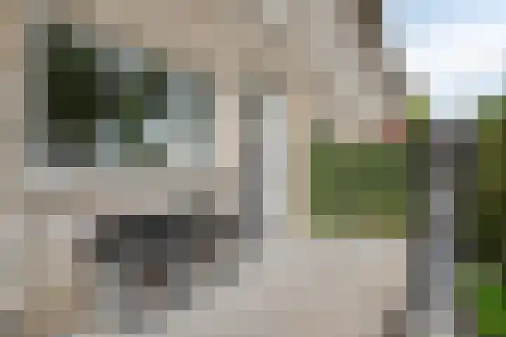 De Dissel 16 Arnhem thumbnail 4