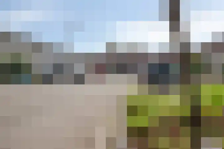De Dissel 16 Arnhem thumbnail 40