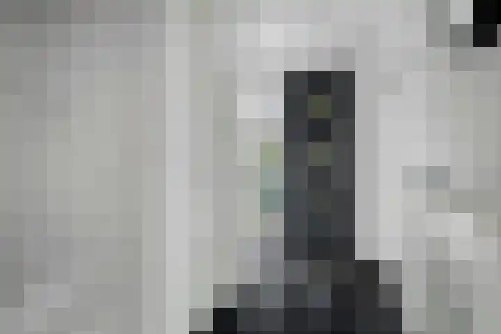 De Dissel 16 Arnhem thumbnail 5